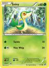 Snivy